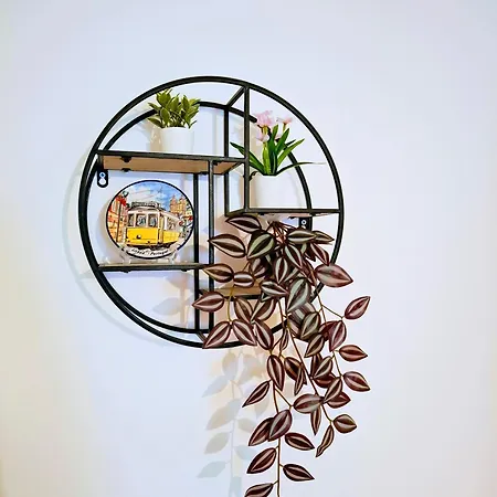 Beautiful And Spacious Flat In The Center Апартаменты Лиссабон